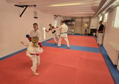 Kumite-Taktik-Workshop in Wien 2025: Angriff mit Faustschutz