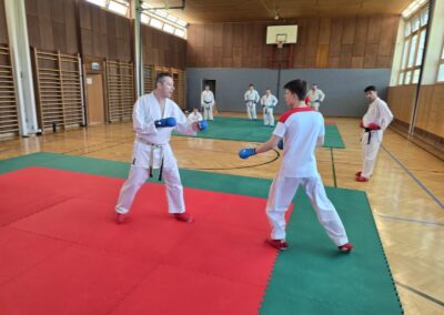 LV-Kumite-Training in Wien: Zweikampf auf der Tatami beim Kumite-Workshop des Landesverbands 2026