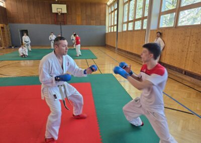 Kumite-Training in Wien: Athleten mit Faustschutz im Sparring beim LV-Workshop 2026
