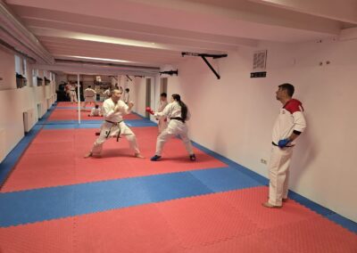 Kumite-Training in Wien, November 2024: Kicktechnik im Zweikampf
